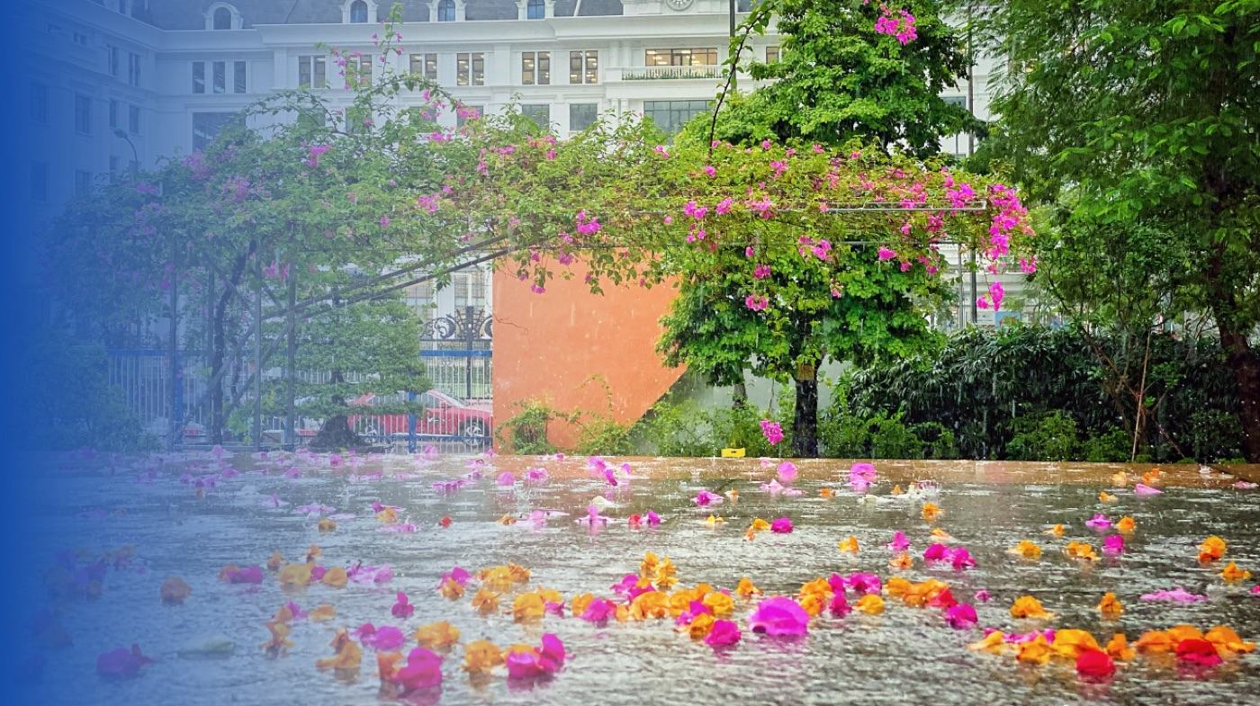 Khuôn viên Trường THPT chuyên Hà Nội – Amsterdam